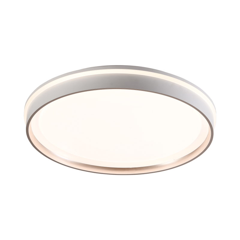 OTL/客廳燈/臥室燈/愛目房語系列