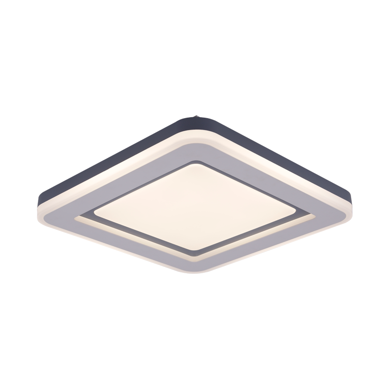 簡(jiǎn)約吸頂燈 簡(jiǎn)約吸頂燈