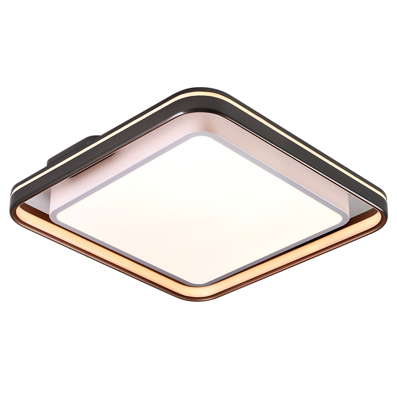 吸頂燈,臥室燈,客廳燈 吸頂燈,臥室燈,客廳燈